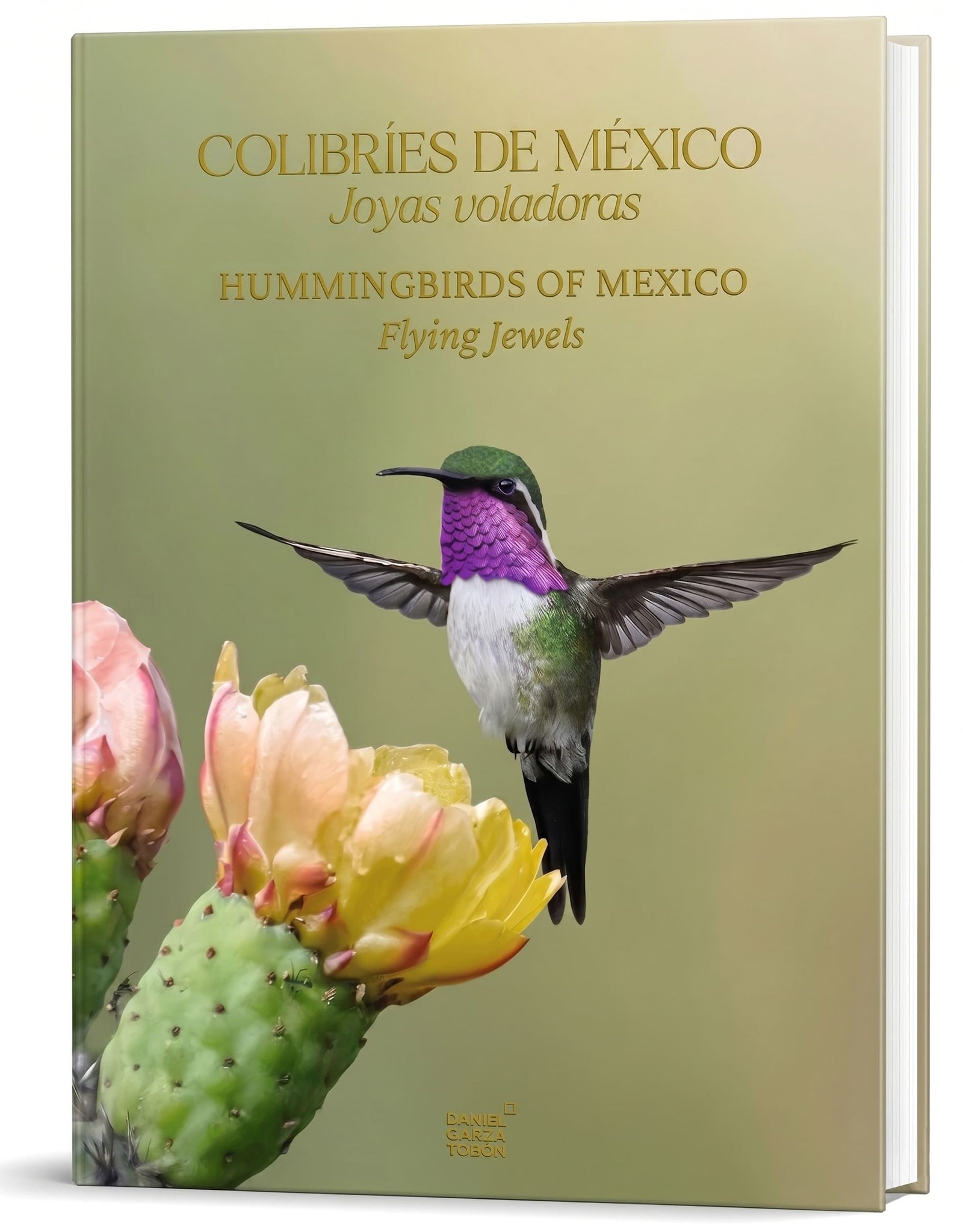 1. portada colibríes+++ 1. portada colibríes+++