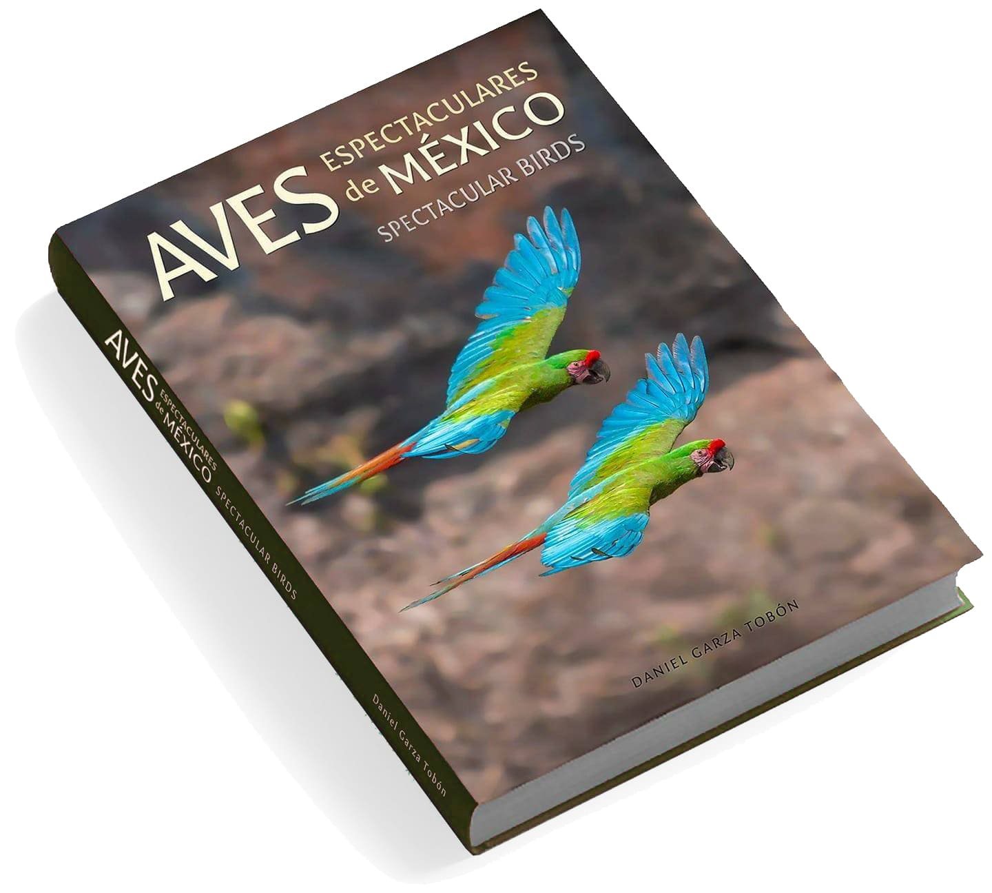 10. aves espectaculares de méxico 10. aves espectaculares de méxico