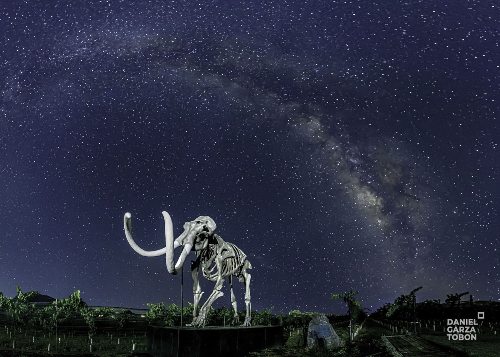 10. el mamut y la bóveda celeste