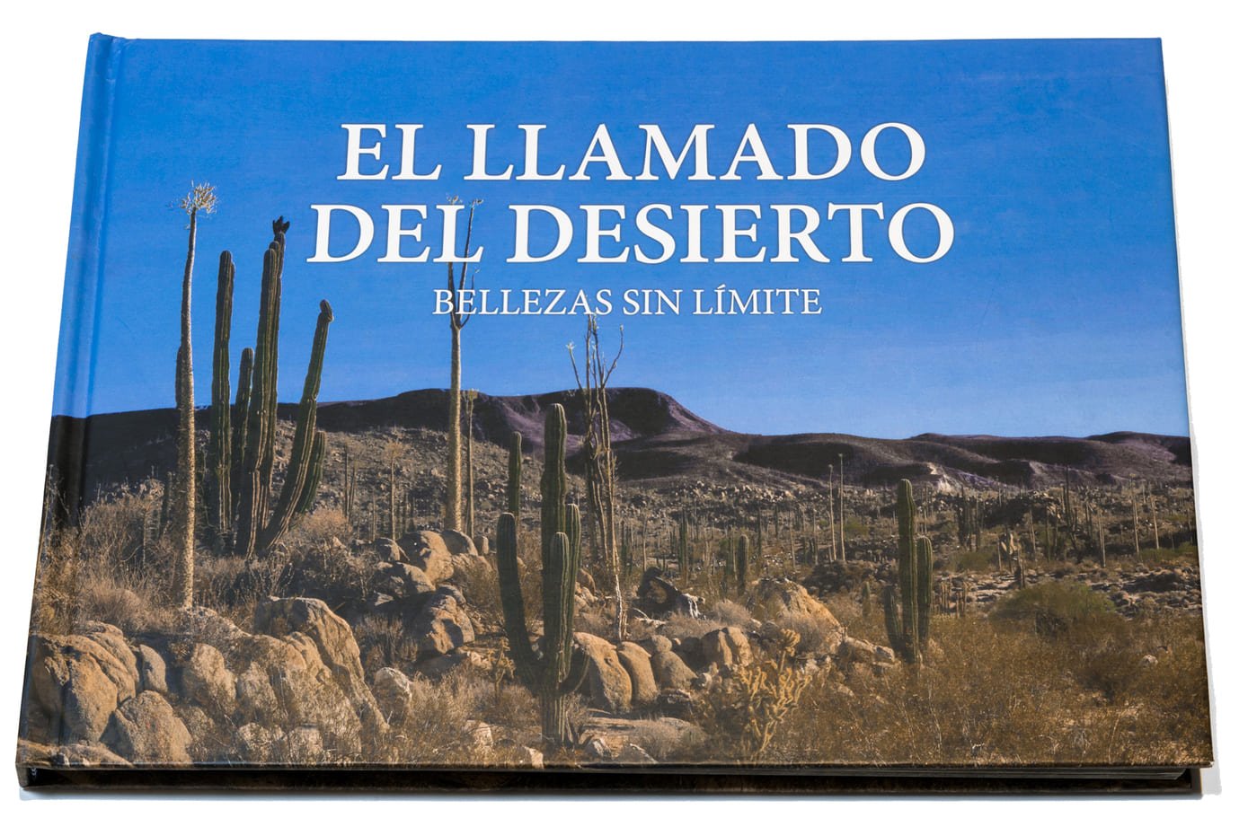 13. el llamado del desierto, bellezas sin límite 13. el llamado del desierto, bellezas sin límite
