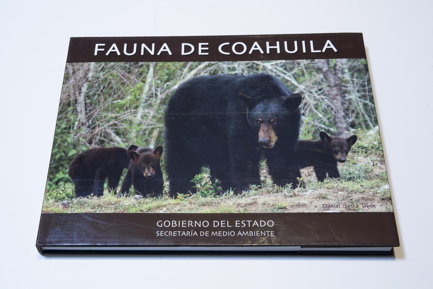 14. fauna de coahuila 14. fauna de coahuila