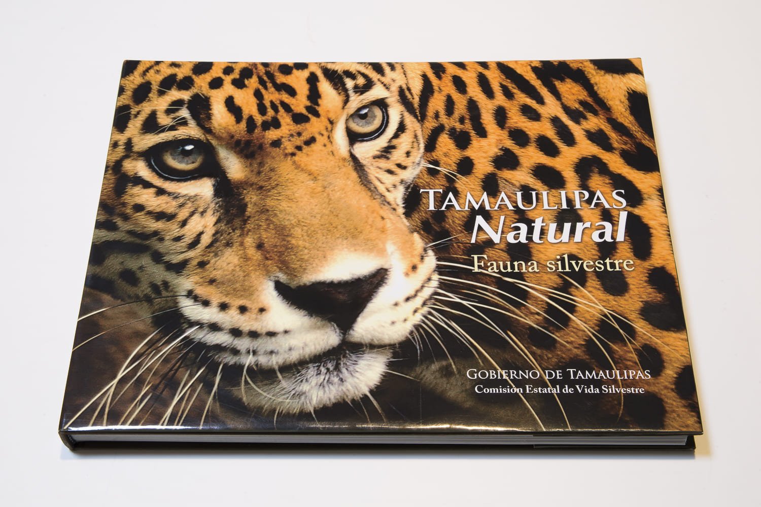 15. fauna de tamaulipas 15. fauna de tamaulipas