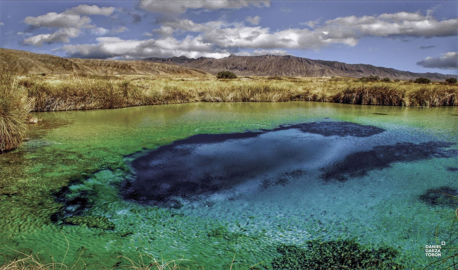 2. abiogénesis poza azul