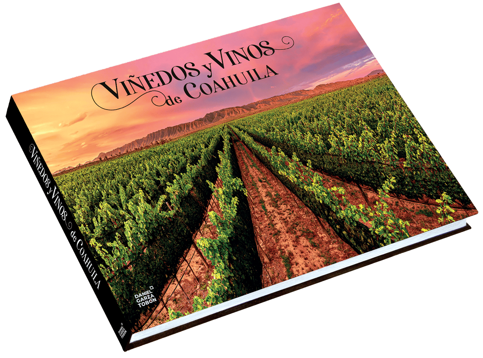 5. viñedos y vinos de coahuila++ png 5. viñedos y vinos de coahuila++ png
