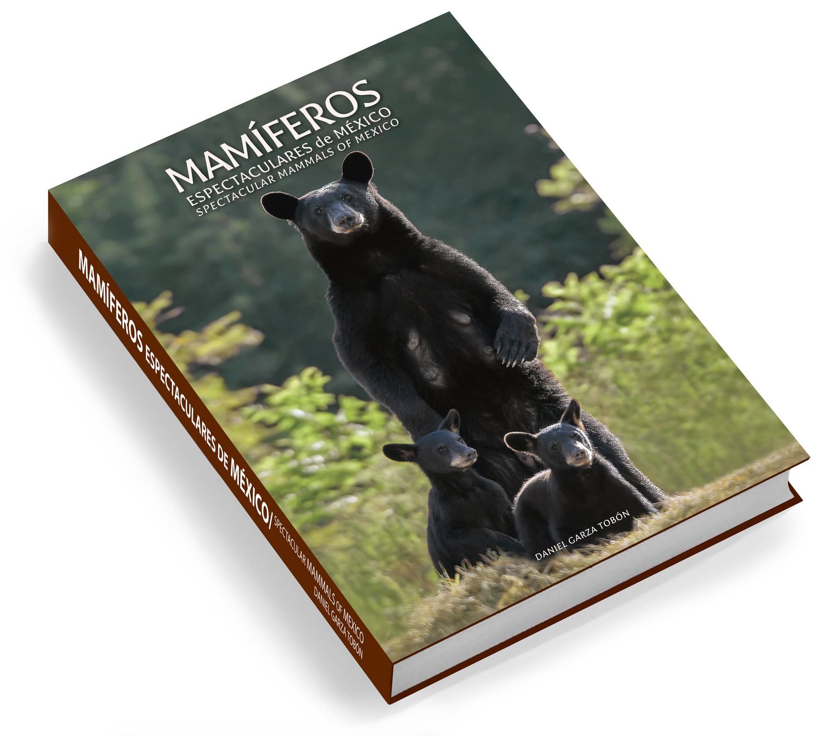 7. mamíferos 7. mamíferos
