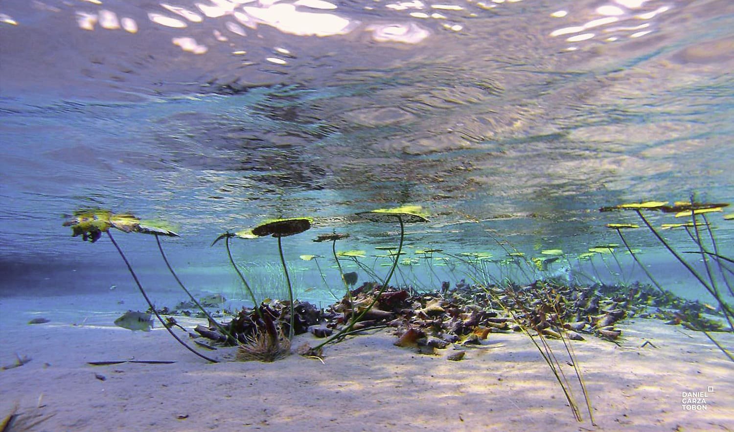 cuatro ciénegas bajo el agua