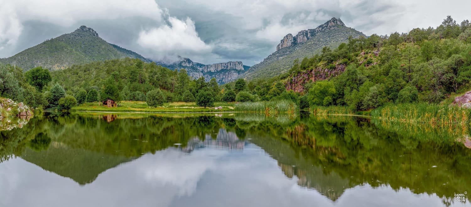 el reflejo etéreo