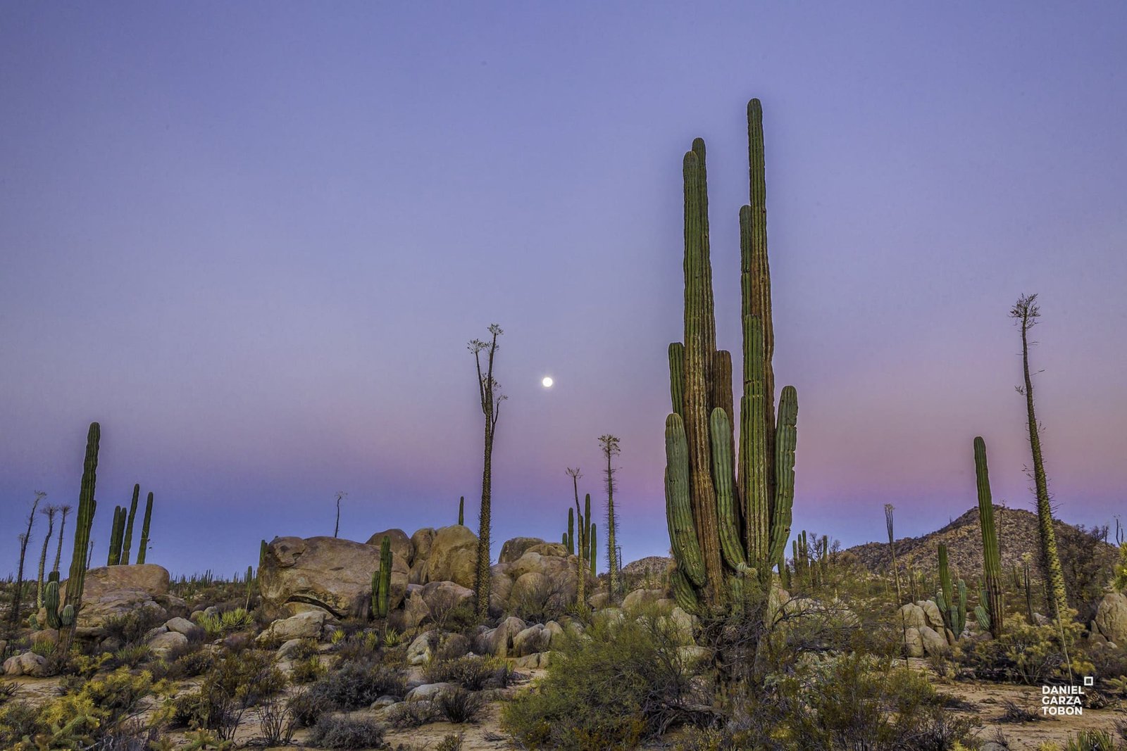 la luna y el cirio